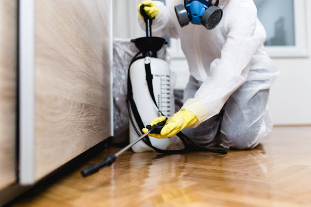 Best Affordable Pest Control Services  in Tripoli, IA