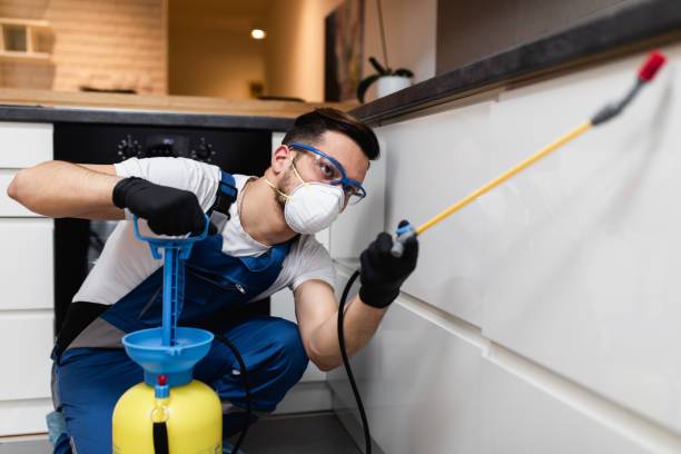 Best Best Pest Control Companies  in Tripoli, IA