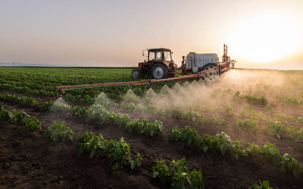 Best Wildlife Control Services  in Tripoli, IA