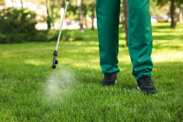 Best Pest Removal Services  in Tripoli, IA