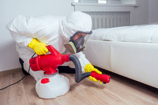 Best Pest Prevention Services  in Tripoli, IA