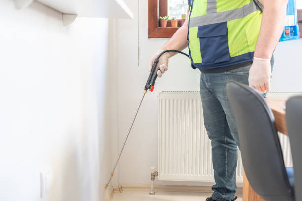 Best Termite Control Services  in Tripoli, IA