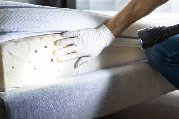 Best Pest Control Cost  in Tripoli, IA