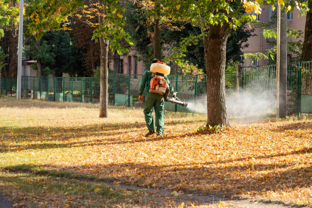 Best Mosquito Control Services  in Tripoli, IA
