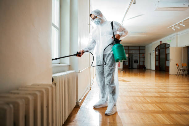 Best Mosquito Control Services  in Tripoli, IA