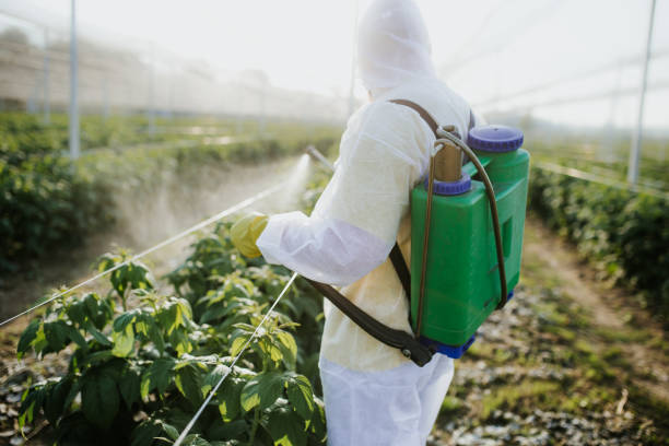 Best Pest Control Near Me  in Tripoli, IA